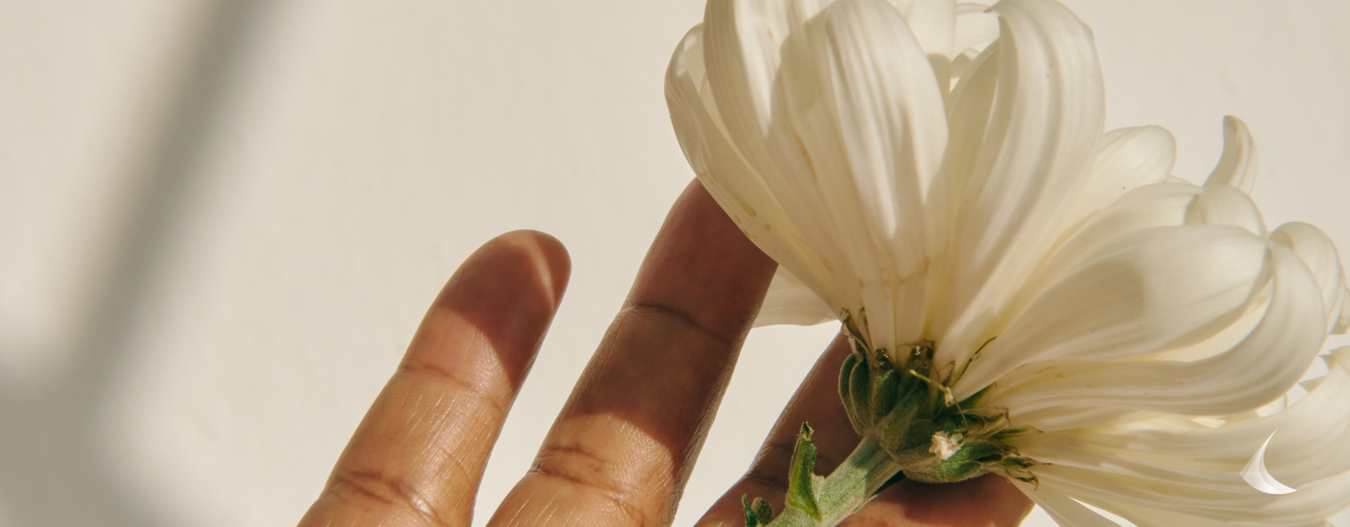 Kopie von HubSpot Header Landing Page